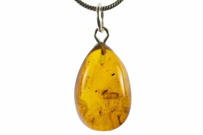 Polished Baltic Amber Pendant (Necklace) - Contains Wasp & Fly! #339522